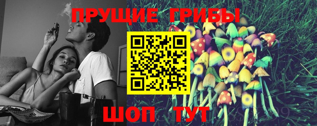 Заринск  Псилоцибиновые грибы Magic Shrooms  Вход с VPN 